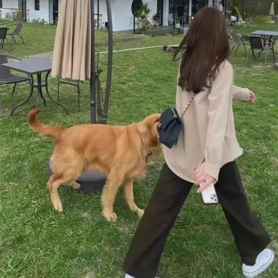 执笔